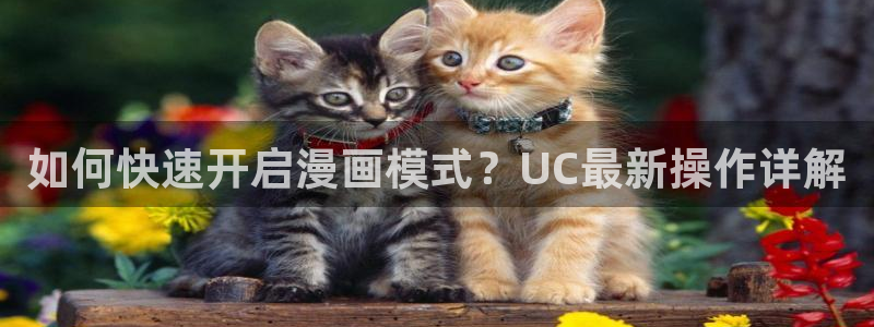 黄香蕉漫画：如何快速开启漫画模式？UC最新操作详解