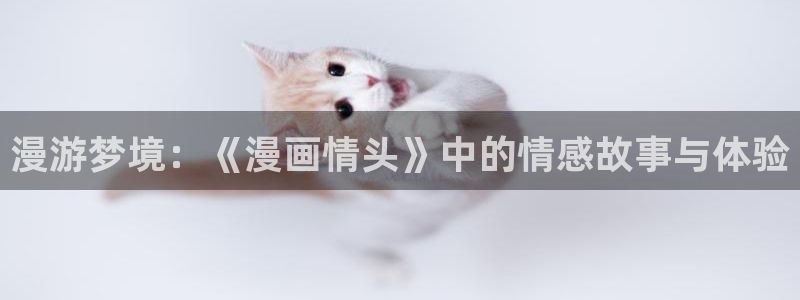 香蕉漫画动漫小说：漫游梦境：《漫画情头》中的情感故事与体验