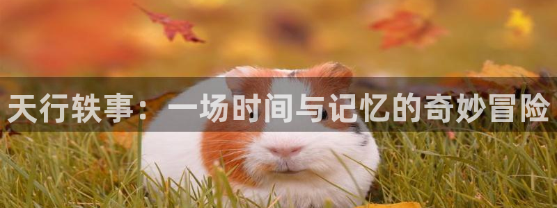 香蕉漫画免费版费：天行轶事：一场时间与记忆的奇妙冒险